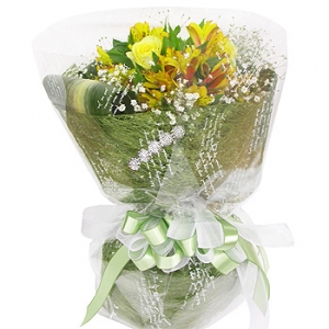 �󼼳��뺸��