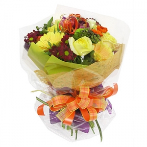 �󼼳��뺸��