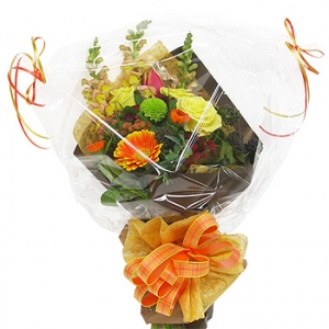 �󼼳��뺸��