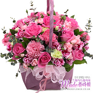 �󼼳��뺸��