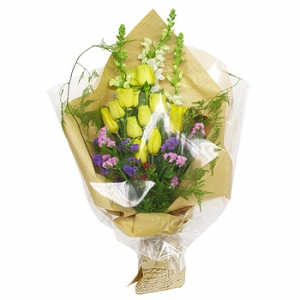 �󼼳��뺸��