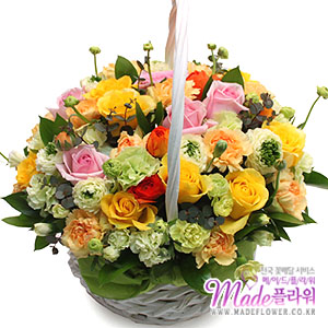 �󼼳��뺸��