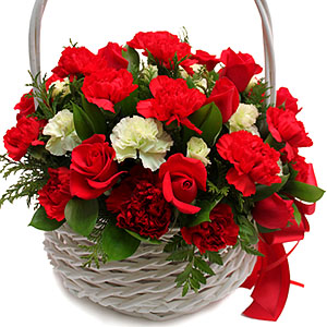 �󼼳��뺸��