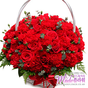 �󼼳��뺸��