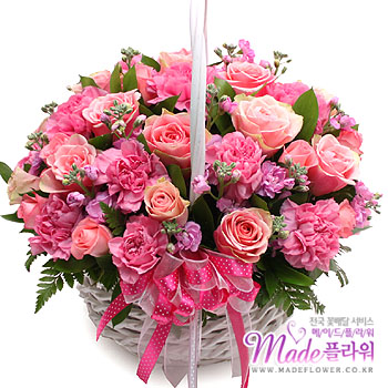 �󼼳��뺸��