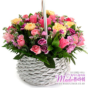 �󼼳��뺸��