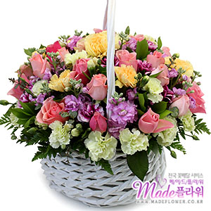 �󼼳��뺸��