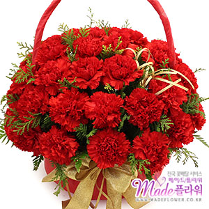 �󼼳��뺸��