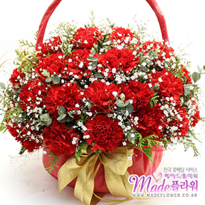 �󼼳��뺸��