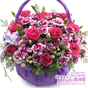 »ó¼¼³»¿ëº¸±â