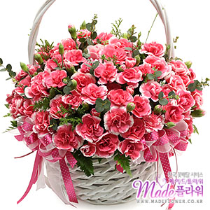 »ó¼¼³»¿ëº¸±â