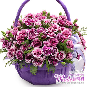 �󼼳��뺸��