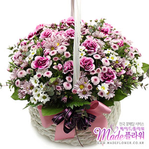 �󼼳��뺸��