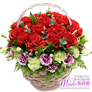 �󼼳��뺸��