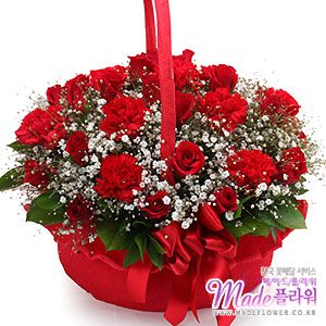 �󼼳��뺸��