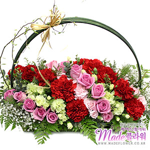 �󼼳��뺸��