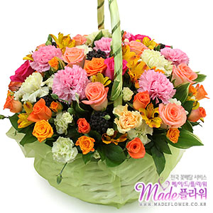 �󼼳��뺸��