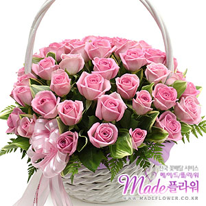 �󼼳��뺸��