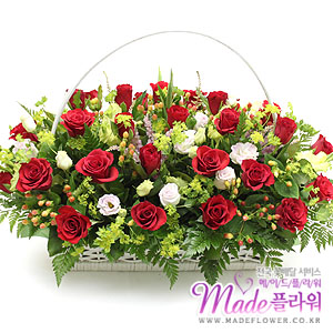 �󼼳��뺸��