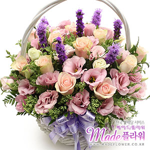 �󼼳��뺸��