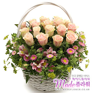 �󼼳��뺸��