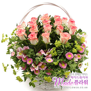 �󼼳��뺸��