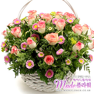 �󼼳��뺸��