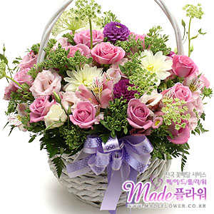 �󼼳��뺸��