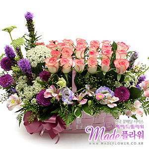 �󼼳��뺸��