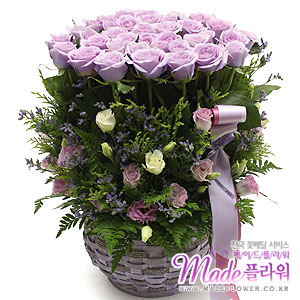 �󼼳��뺸��