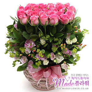 �󼼳��뺸��