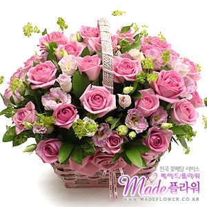 �󼼳��뺸��