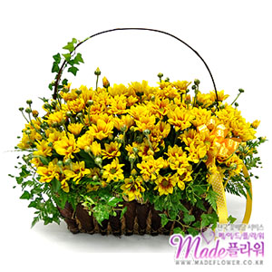 �󼼳��뺸��