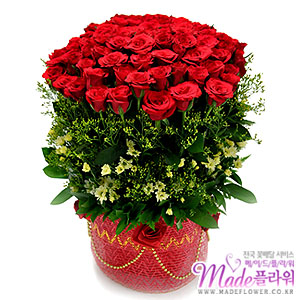 �󼼳��뺸��