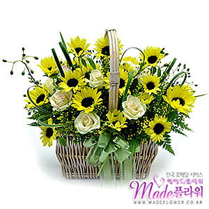 �󼼳��뺸��