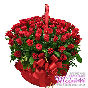 �󼼳��뺸��