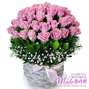 �󼼳��뺸��