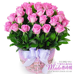 �󼼳��뺸��