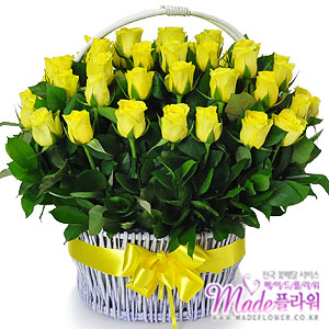 �󼼳��뺸��