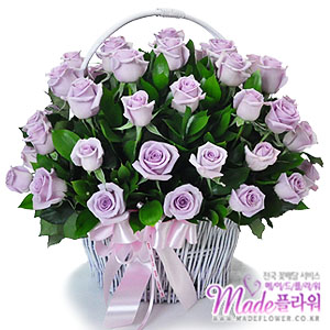 �󼼳��뺸��