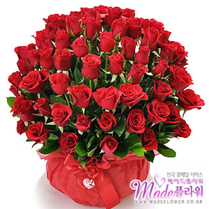 �󼼳��뺸��