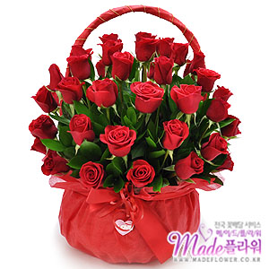 �󼼳��뺸��