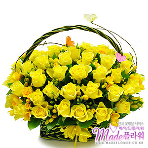 �󼼳��뺸��