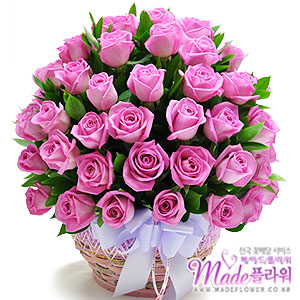 �󼼳��뺸��