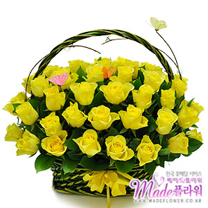 �󼼳��뺸��