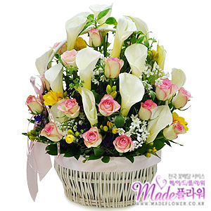 �󼼳��뺸��