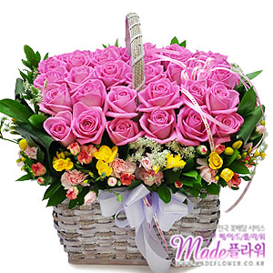 �󼼳��뺸��