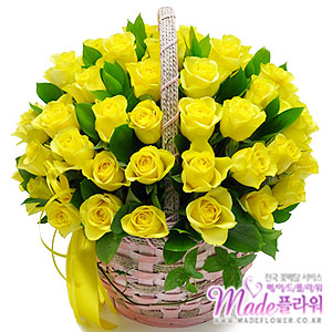 �󼼳��뺸��