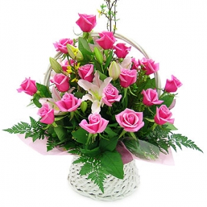 �󼼳��뺸��