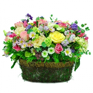 �󼼳��뺸��